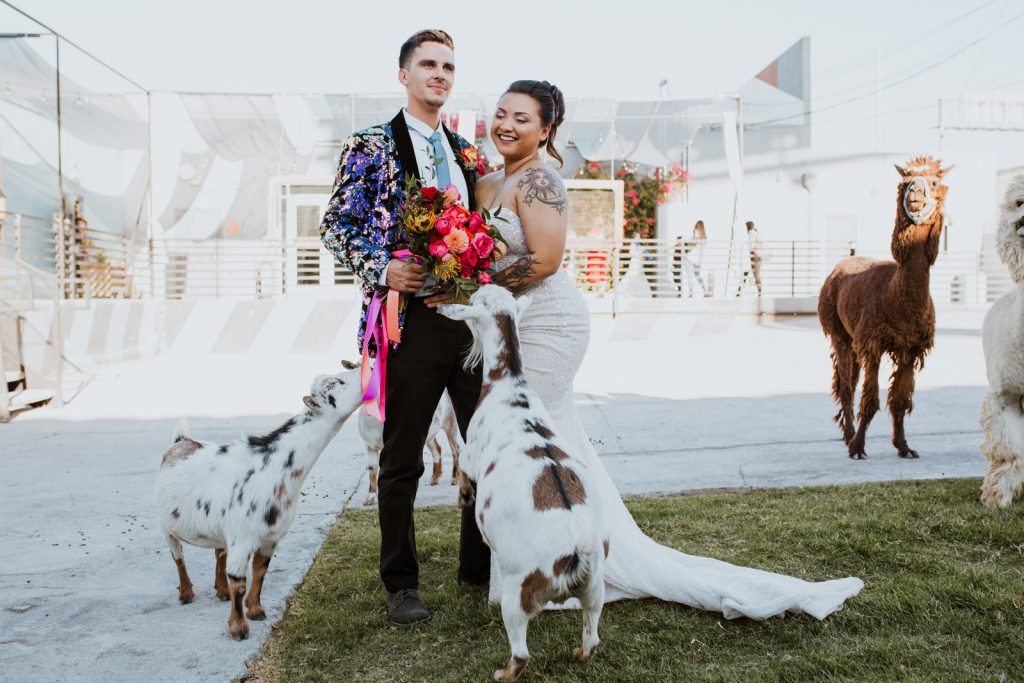 Las Vegas Wedding Portraits with goats